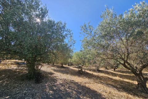 Villa i Collesano, Palermo, Collesano - € 108.000 | Ref: 10567 - foto 5